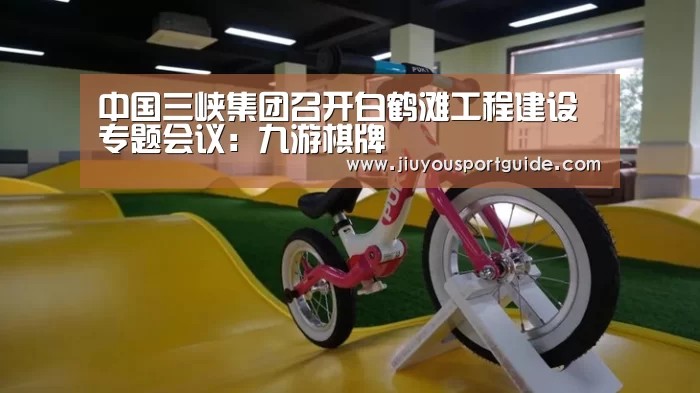 中国三峡集团召开白鹤滩工程建设专题会议:九游棋牌(图4) 中国三峡集团召开白鹤滩工程建设专题会议:九游棋牌(图4)
